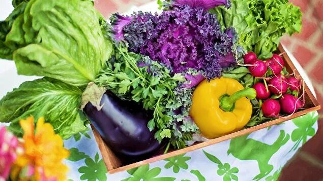 legume și verdețuri în dieta dietei Ducan